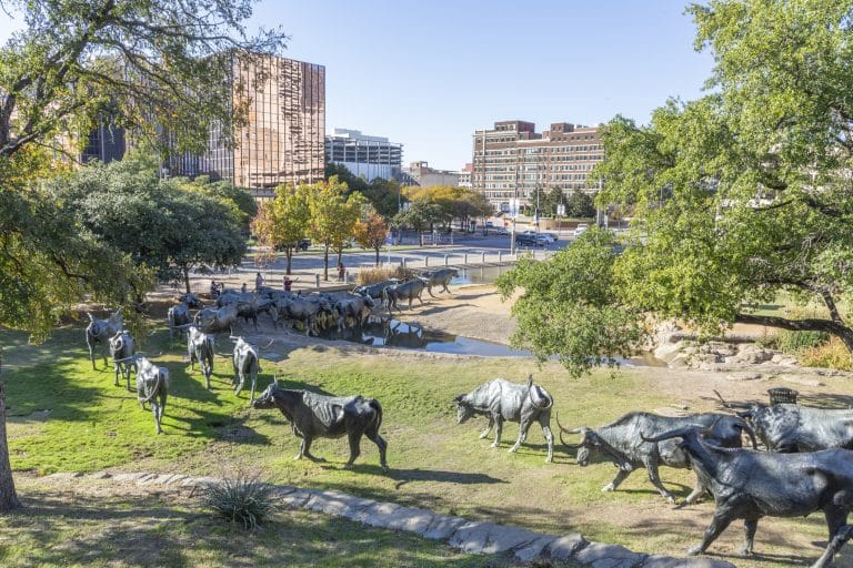 Auto body repair in Pleasant Grove Dallas TX 75217 near Buckner Boulevard